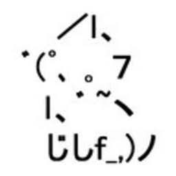 custom_website